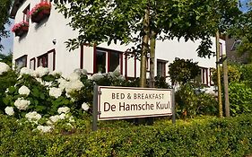 Bed And Breakfast De Hamsche Kuul